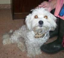 Baily