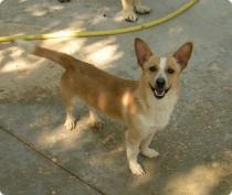 Piero, reservado
