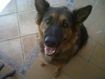 Danna