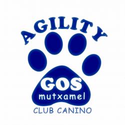 http://www.agilitygos.com/ Agilitygos Mutxamel
