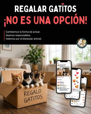 REGALAR GATITOS NO ES UNA OPCIÓN REGALAR GATITOS NO ES UNA OPCIÓN