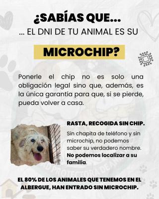 EL DNI DE TU ANIMAL ES EL MICROCHIP EL DNI DE TU ANIMAL ES EL MICROCHIP