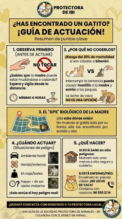 GU�A DE ACTUACI�N ANTE GATITOS ENCONTRADOS
